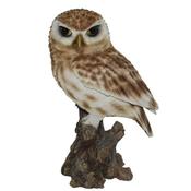 Real Life Little Owl D image
