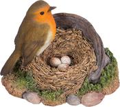 Robin Standing on Rusty