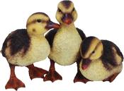 Real life Duckling Group Ornaments