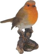 Perched Robin