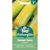 SWEET CORN Galaxy F1 Mr Fothergills Seeds image