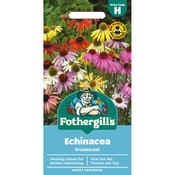 ECHINACEA Dreamcoat Mr Fothergills Seeds image