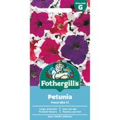 PETUNIA Frost Mix F1 Mr Fothergills Seeds image
