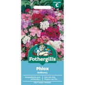 PHLOX Brilliancy Mr Fothergills Seeds image