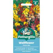 WALLFLOWER Choice Mix Mr Fothergills Seeds image