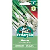 ONION (Spring) Guardsman Mr Fothergills Seeds image