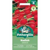 RADISH Celesta F1 Mr Fothergills Seeds image