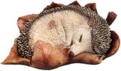 Young Hedgehog in Leaf Ornament