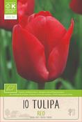 Bio Tulip Triumph Red Bulbs 10 Pack image