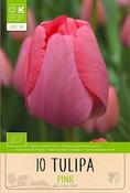 Bio Tulip Triumph Pink Bulbs 10 Pack image