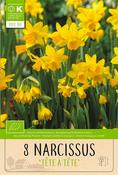 Bio Narcissus Tete A Tete Bulbs 8 Pack image
