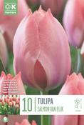 Tulip Salmon Van Eijk Bulbs 10 Pack image