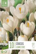 Crocus Jeanne D Arc Bulbs 10 Pack image