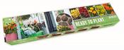 Balcon-O-Mat Sunshine Mix - 38 Spring Flower Bulbs image