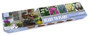 Balcon-O-Mat Galaxy Mix - 38 Spring Flower Bulbs image