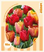 Combi Tulipa Red, Orange &amp; Yellow Blend (15 Bulbs) image