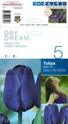 Tulip Bleu Aimable Bulbs (5 Pack) image
