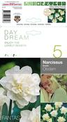 Narcissus Ice King Daffodil Bulbs 5 Pack image