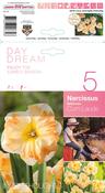 Narcissus Cum Laude Daffodil Bulbs 5 Pack image