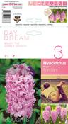 Hyacinth Fondant Bulbs (3 Pack) image