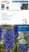 Hyacinth Delft Blue Bulbs (3 Pack) image