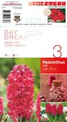 Hyacinth Jan Bos Bulbs (3 Pack) image