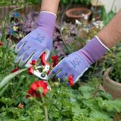 Showa Floreo 370 Multi-Purpose Purple Gloves image