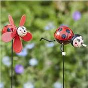 Ladybugs image