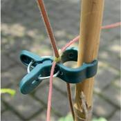 Small Spring Plant Clips (5) image