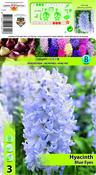 Hyacinth Blue Eyes Bulbs (3 Pack) image