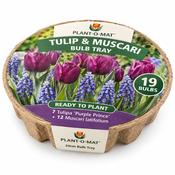 Plant-O-Mat Tulip &amp; Muscari Bulb Tray (19 Bulbs) image
