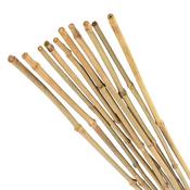 90cm Bamboo Canes (10 Pack) image