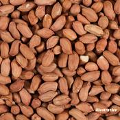 1Kg Bird Food (Peanuts) image