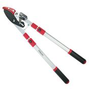 Darlac® Loppers (Telescopic &amp; Ratchet) image