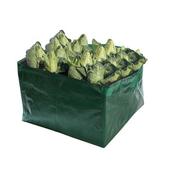 Raised Vegetable Bed image