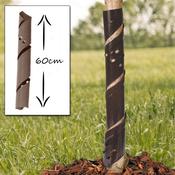 5x Spiral Tree Guards 60cm (Brown) image