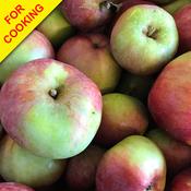 Cooking Apple Tree (Bramley) image