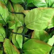 Artificial Hedging (Beech)