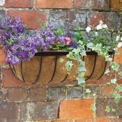 Wall Basket Planter With Liner (60cm) image