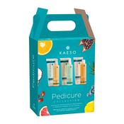Kaeso Pedicure Kit