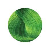 Stargazer Semi Permanent  Colour - African Green image