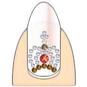 Crystal Culture SD 88 Crown