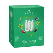 Kaeso Calming Kit image