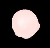 The Manicure Company Builder Base Lace image