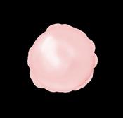 The Manicure Company Builder Base Nudist image