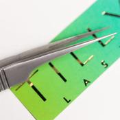 Tilly Lash Straight Tweezer