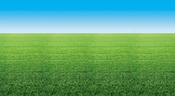 Fadeless Roll Backing Paper Summer Horizon
