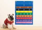 Equivalency Pocket Chart