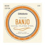 Daddario Nickel Wound Banjo Strings