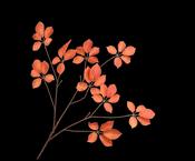 Leaf Spray Orange 103cm image